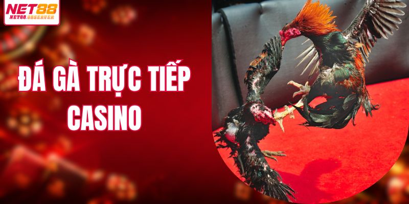 Đá Gà Trực Tiếp Casino