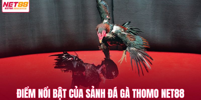 Điểm nổi bật của sảnh đá gà thomo NET88