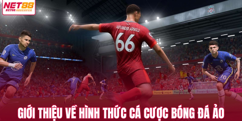 Giới thiệu về hình thức cá cược bóng đá ảo