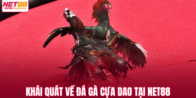 Khái quát về đá gà cựa dao tại NET88