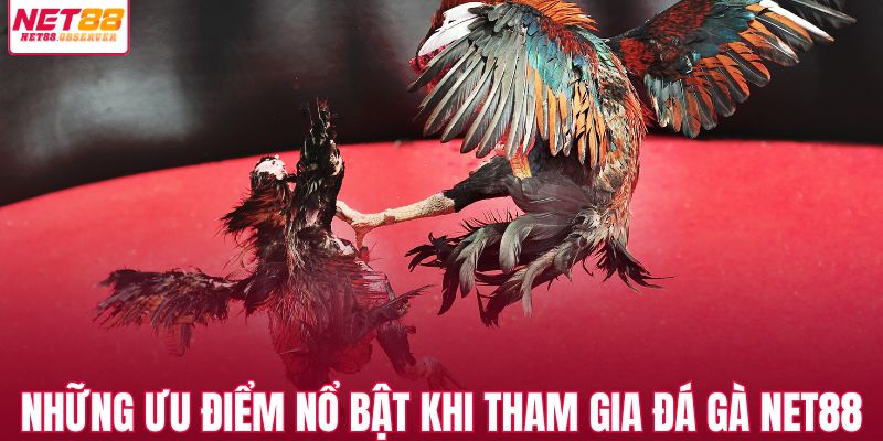 Những ưu điểm nổ bật khi tham gia đá gà NET88