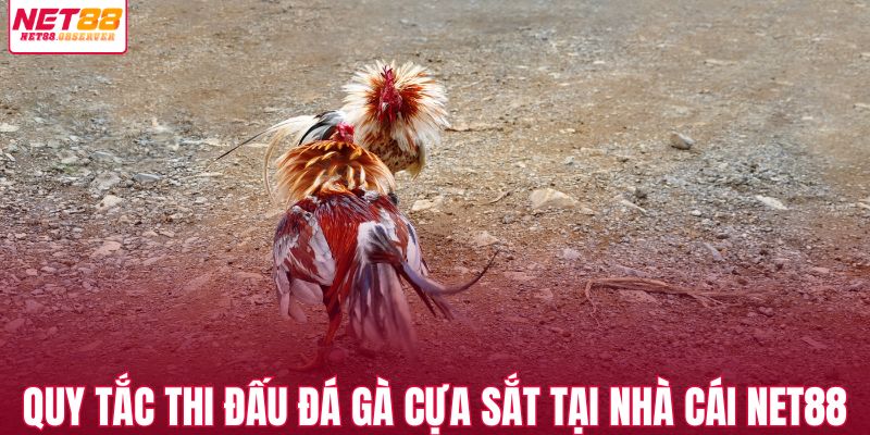 Quy tắc thi đấu đá gà cựa sắt tại nhà cái NET88