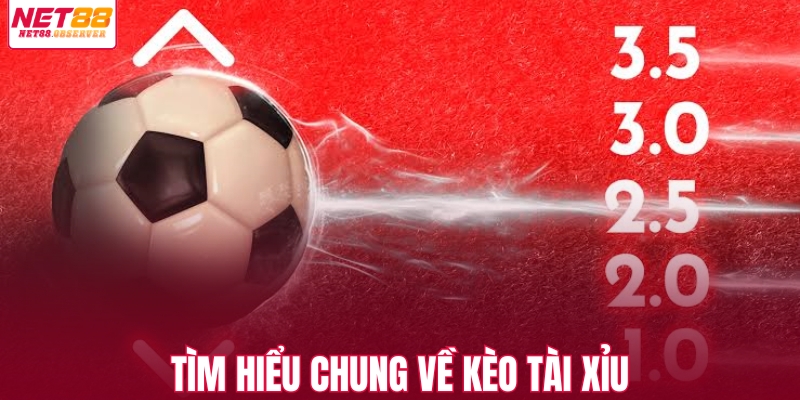 Tìm hiểu chung về kèo tài xỉu
